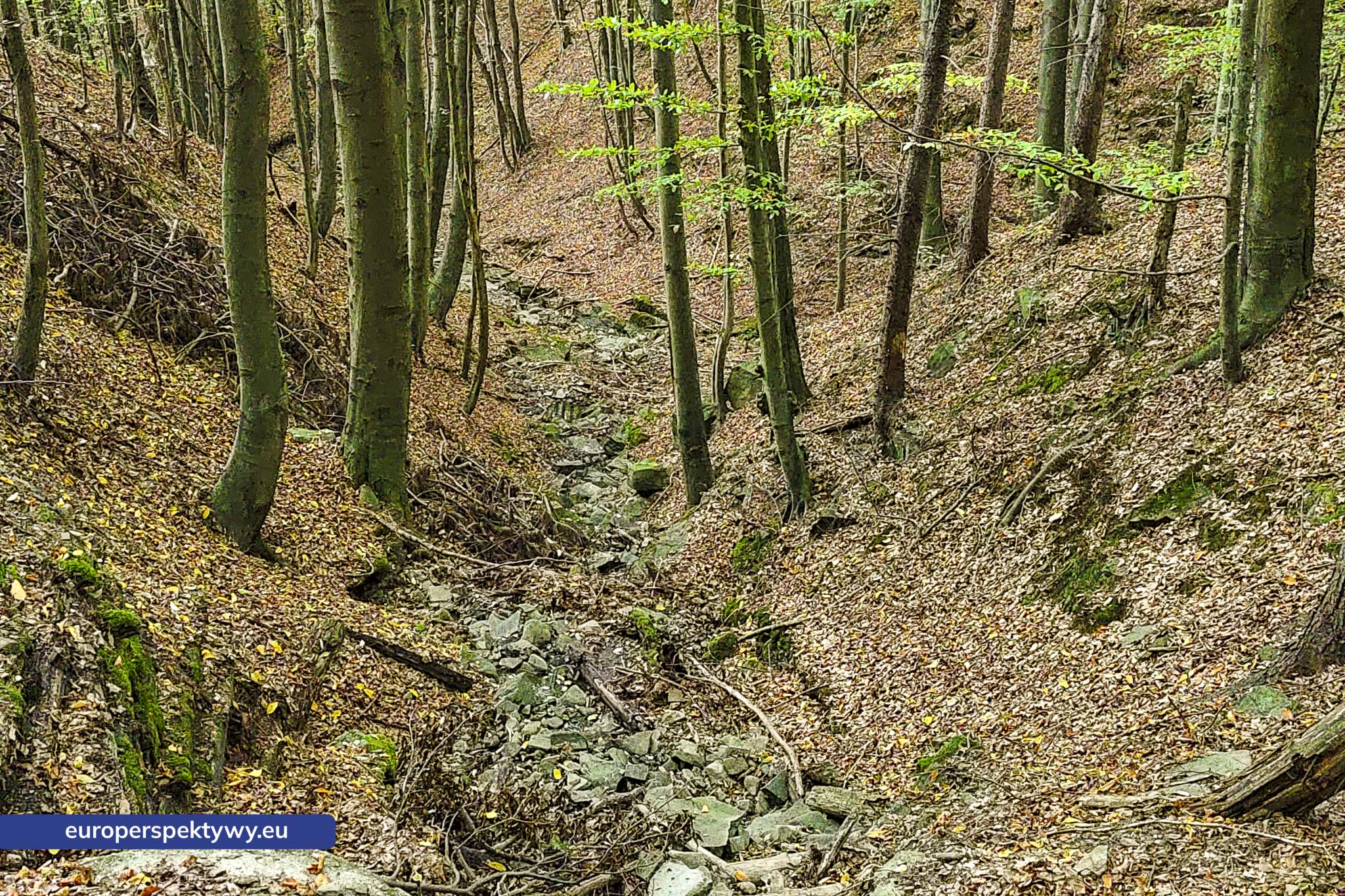 Europerspektywy Beskid Mały – pomysł na spacer [fotoreportaż]