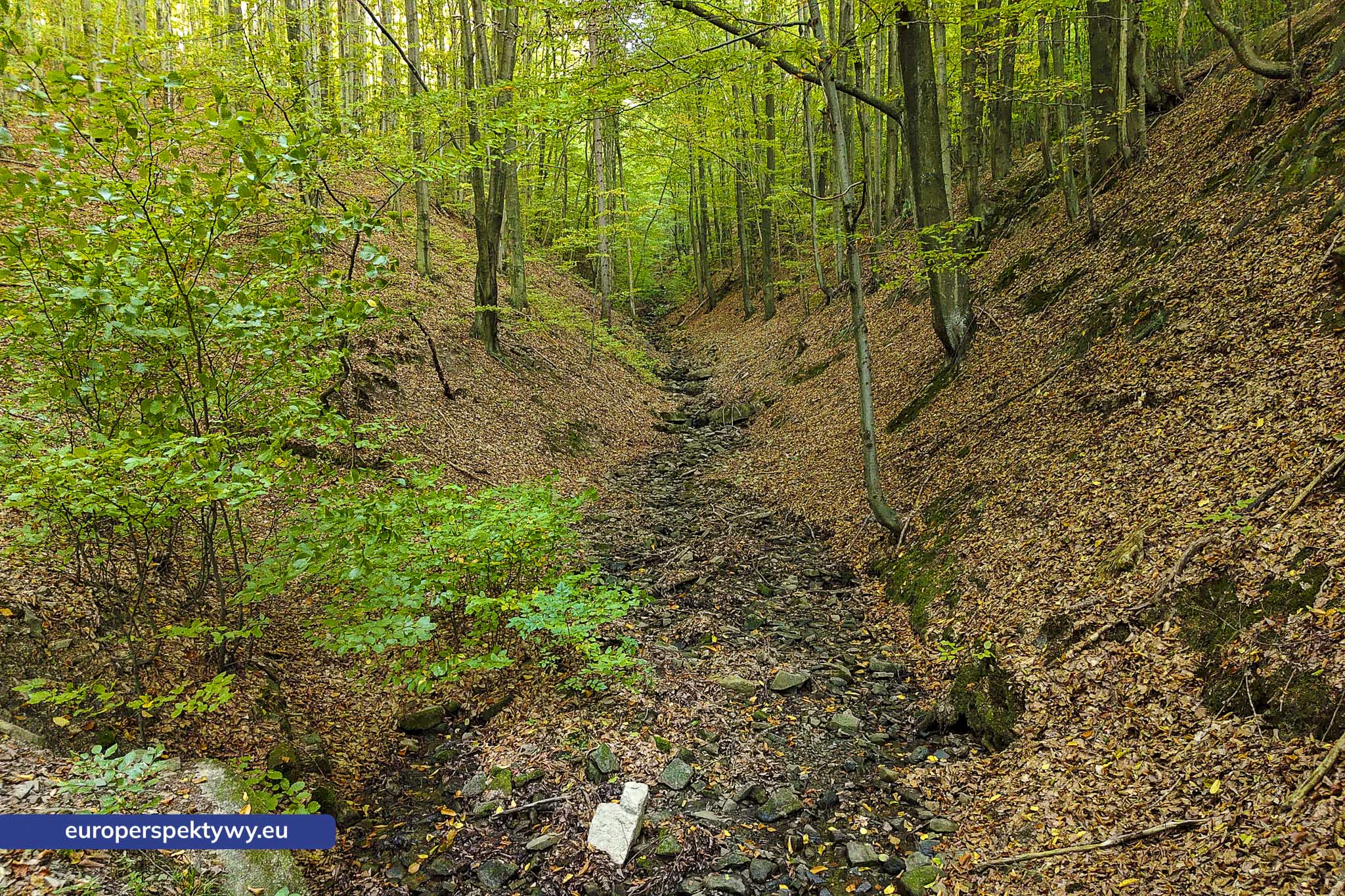 Europerspektywy Beskid Mały – pomysł na spacer [fotoreportaż]