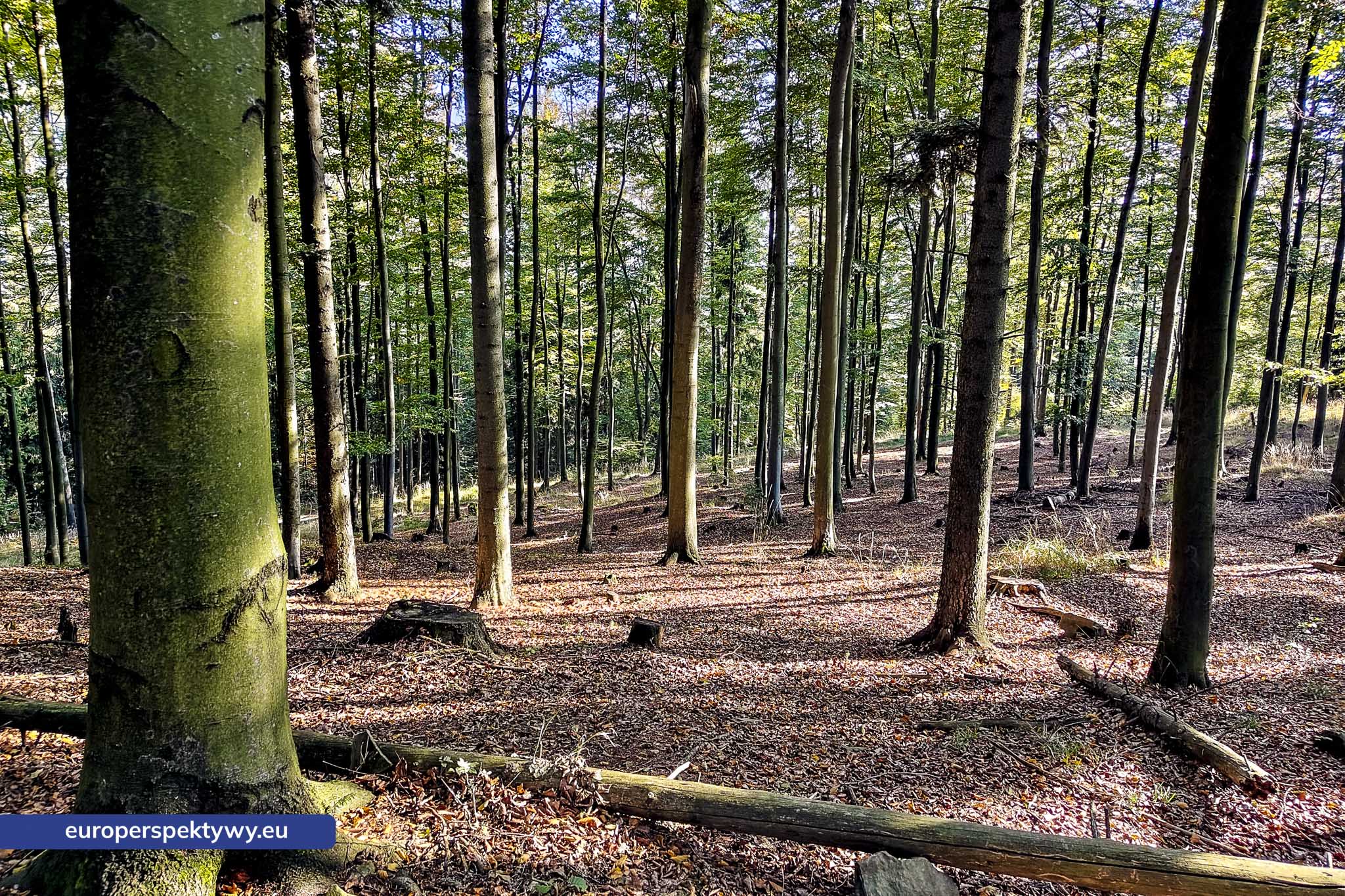 Europerspektywy Beskid Mały – pomysł na spacer [fotoreportaż]