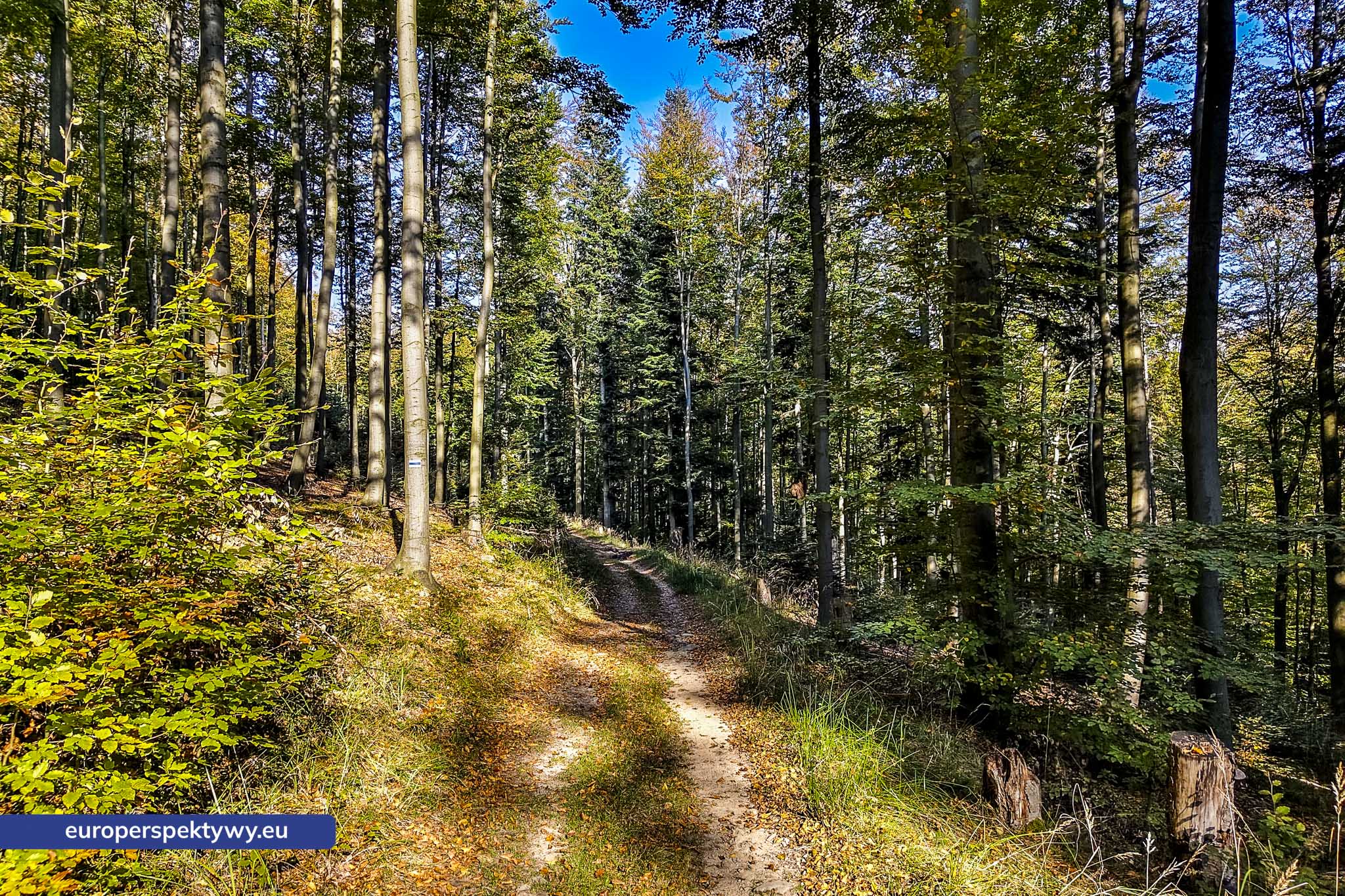 Europerspektywy Beskid Mały – pomysł na spacer [fotoreportaż]