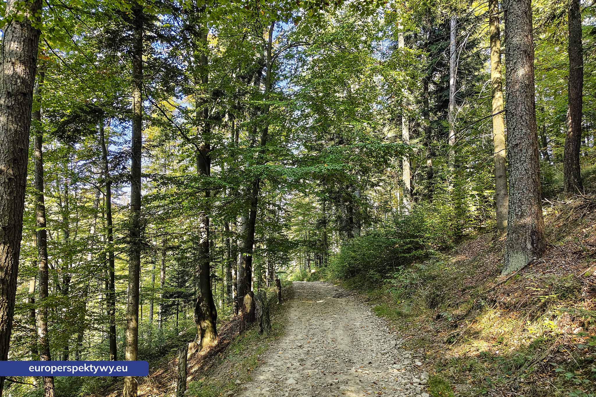 Europerspektywy Beskid Mały – pomysł na spacer [fotoreportaż]
