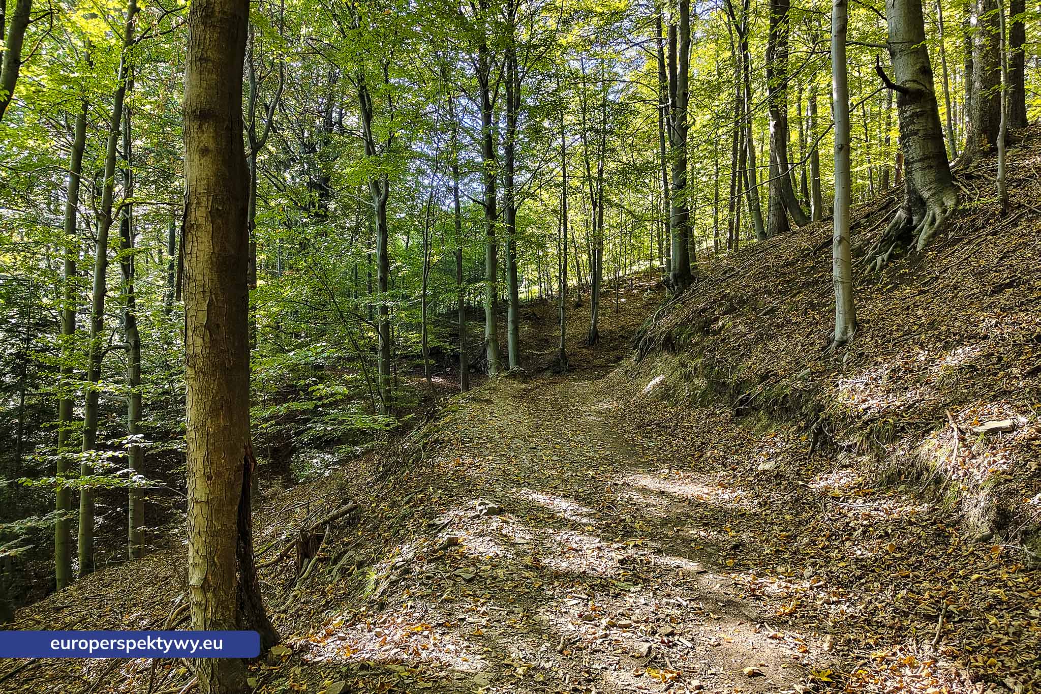 Europerspektywy Beskid Mały – pomysł na spacer [fotoreportaż]