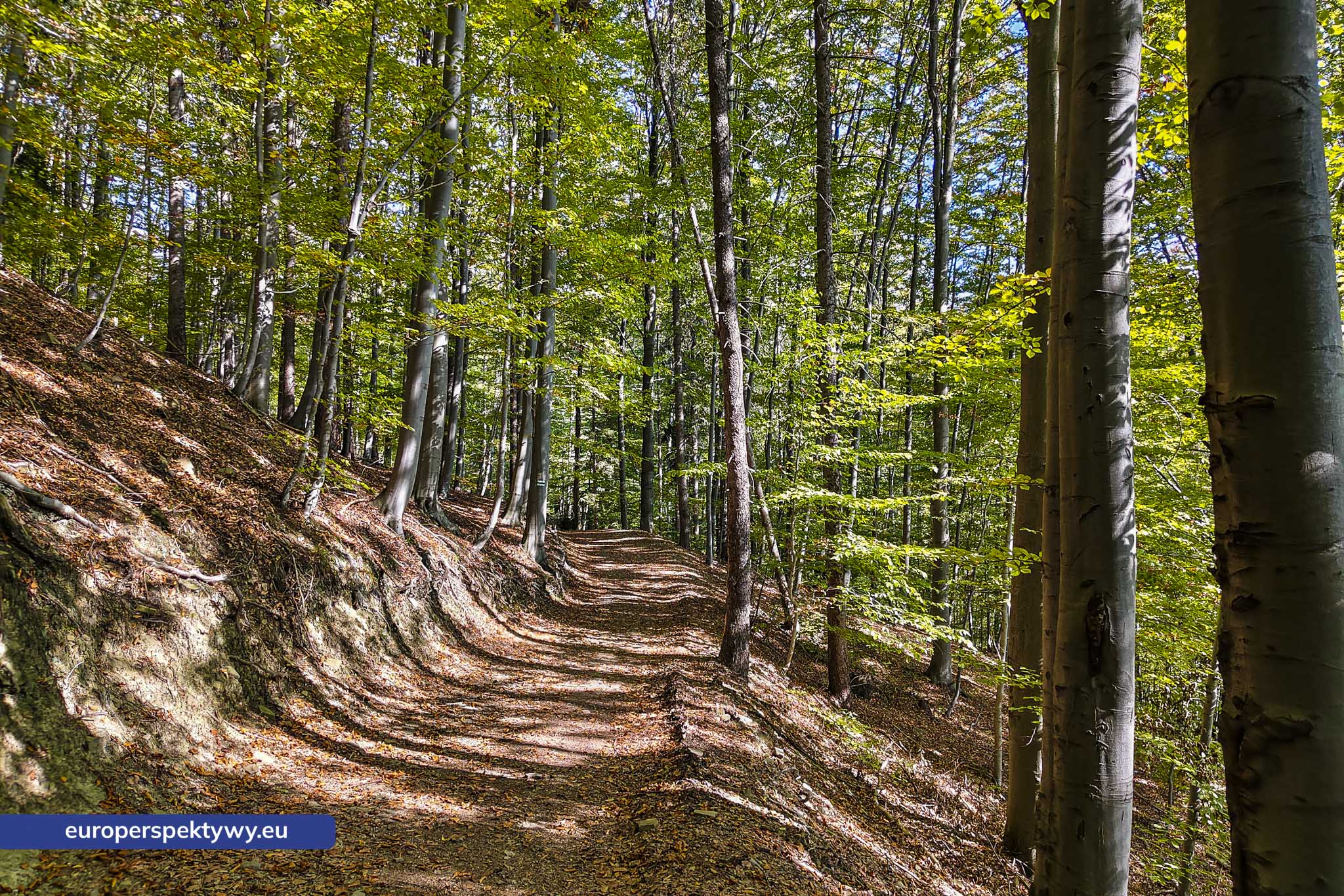Europerspektywy Beskid Mały – pomysł na spacer [fotoreportaż]