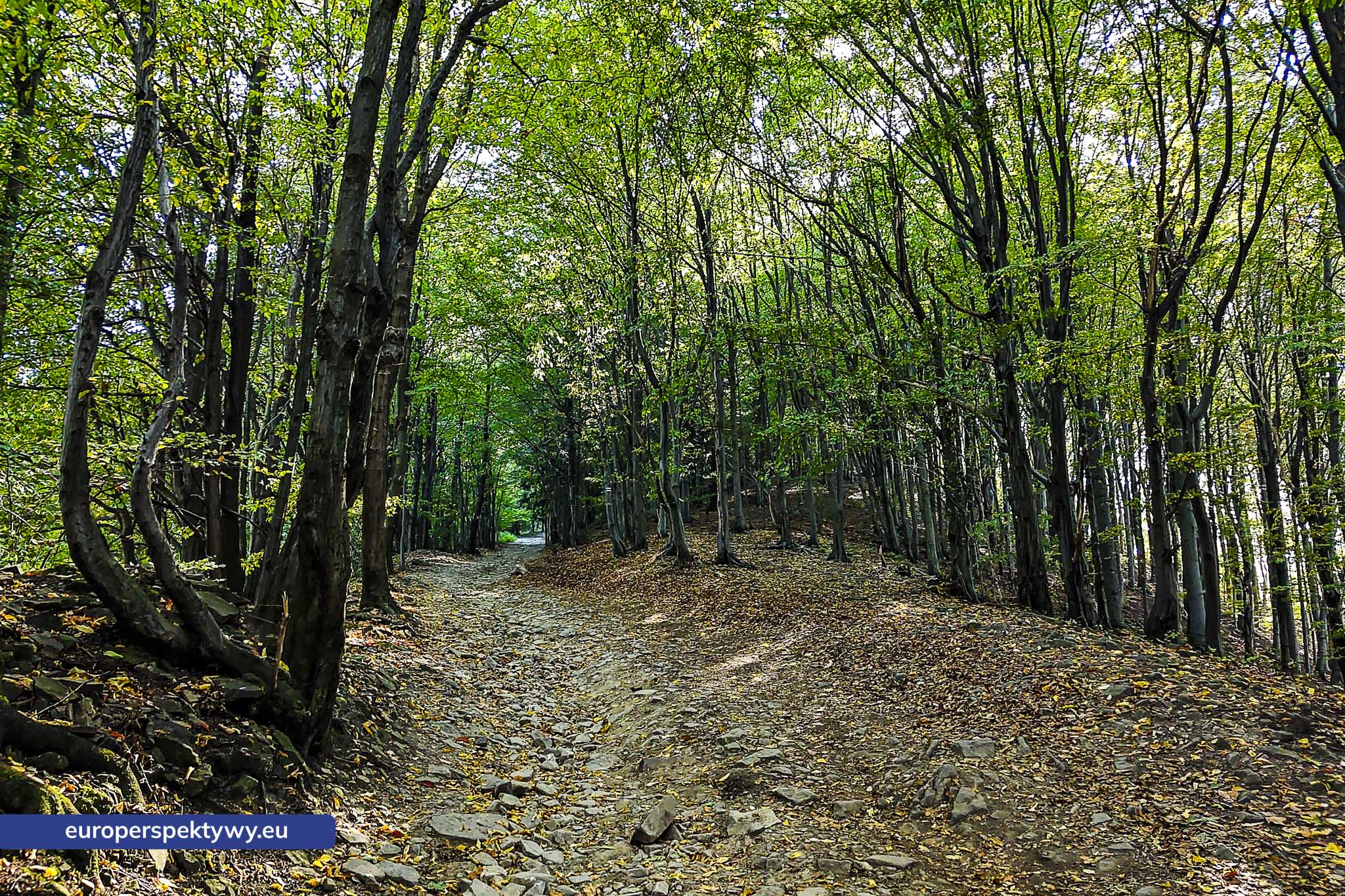 Europerspektywy Beskid Mały – pomysł na spacer [fotoreportaż]