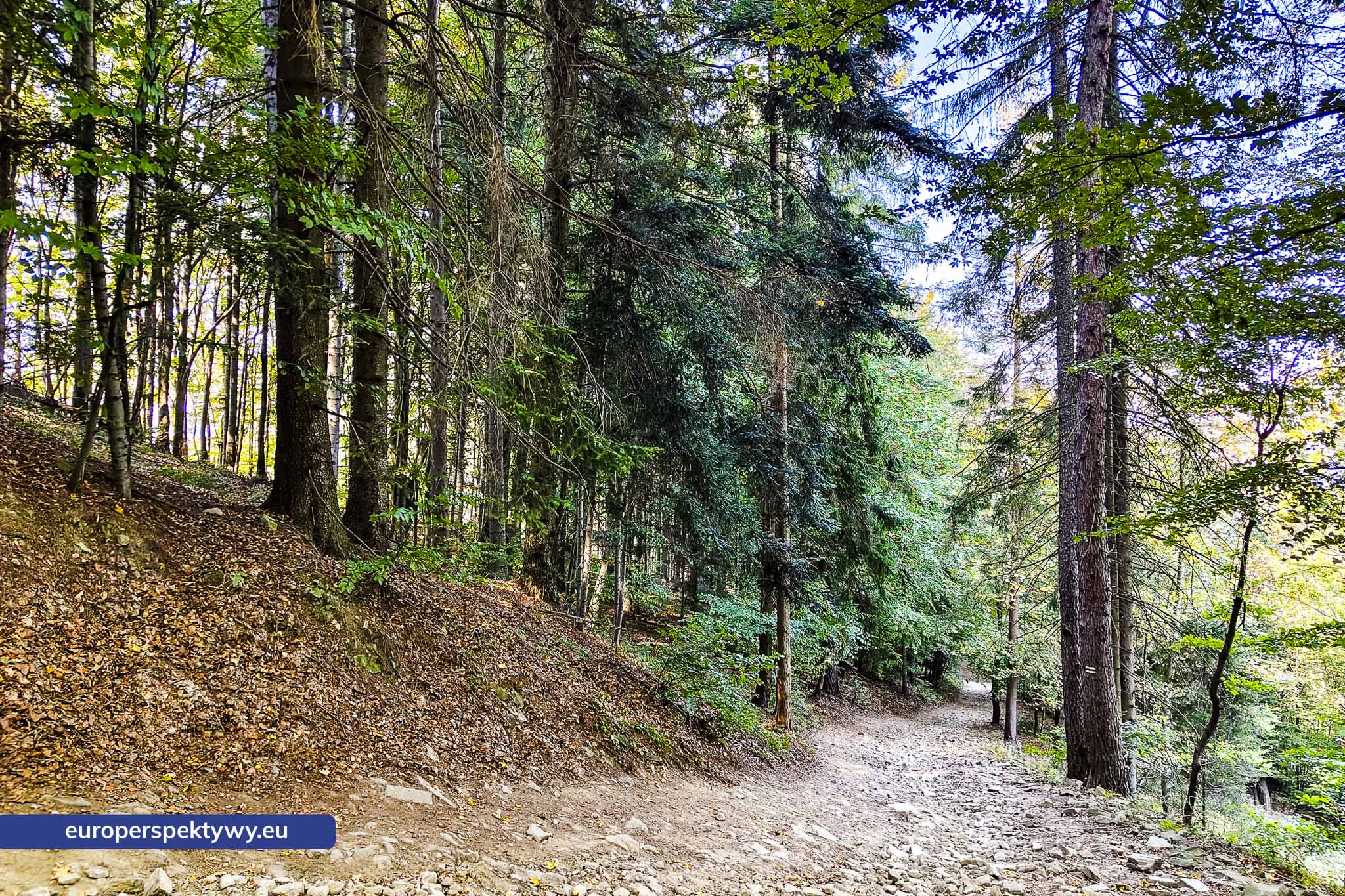 Europerspektywy Beskid Mały – pomysł na spacer [fotoreportaż]