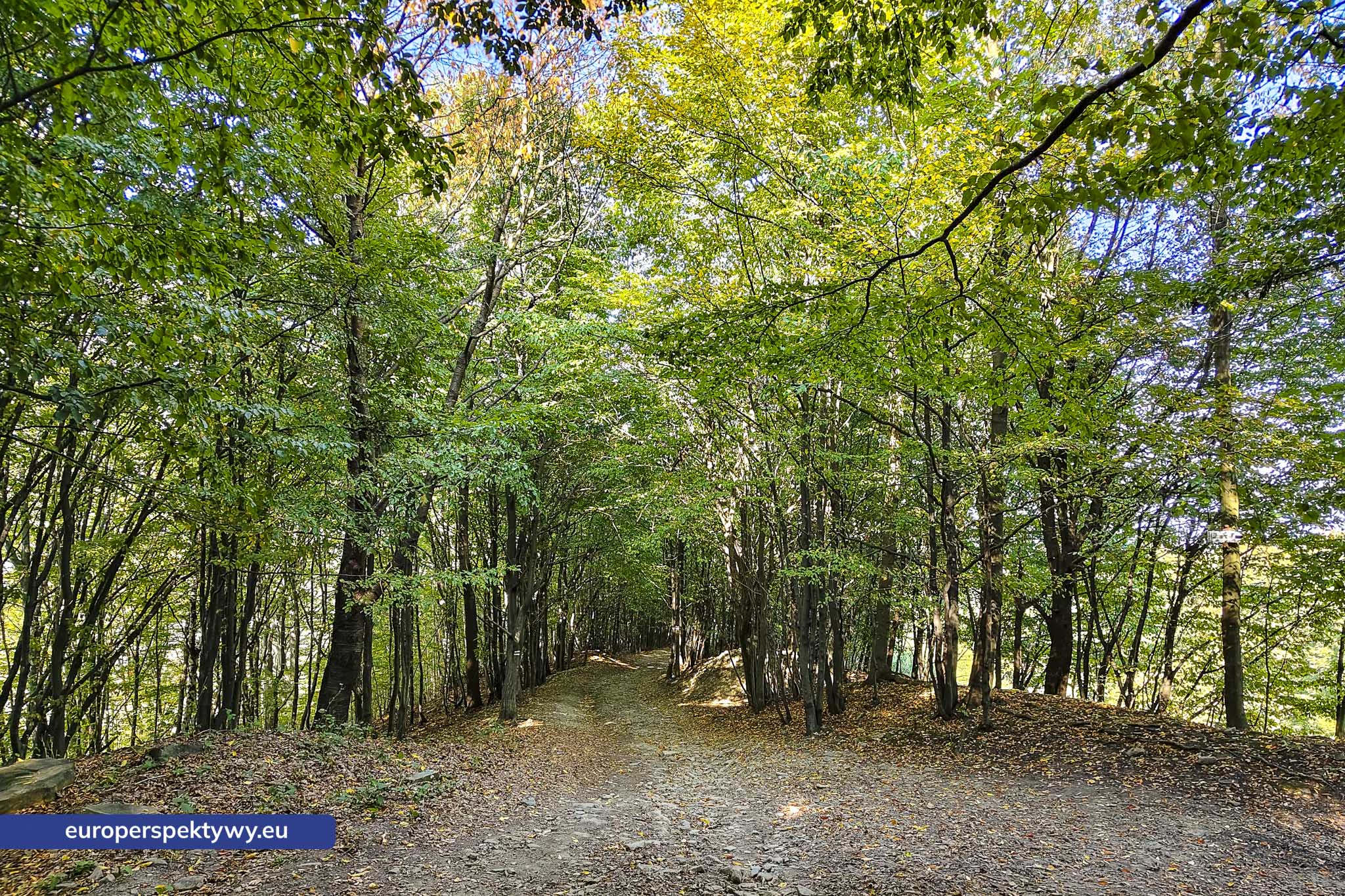 Europerspektywy Beskid Mały – pomysł na spacer [fotoreportaż]