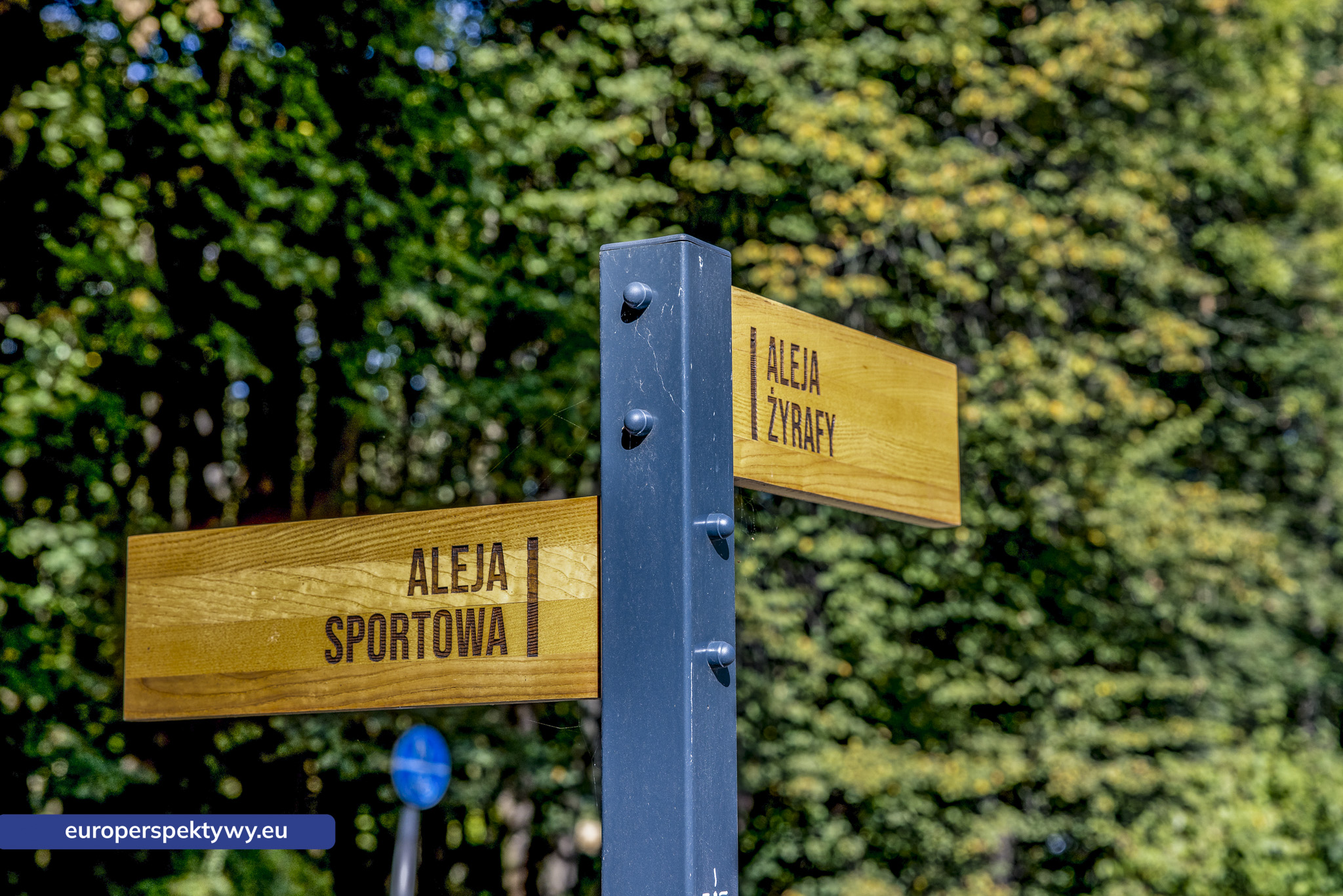 Europerspektywy TAURON Park Śląski: Aleja Żyrafy po modernizacji